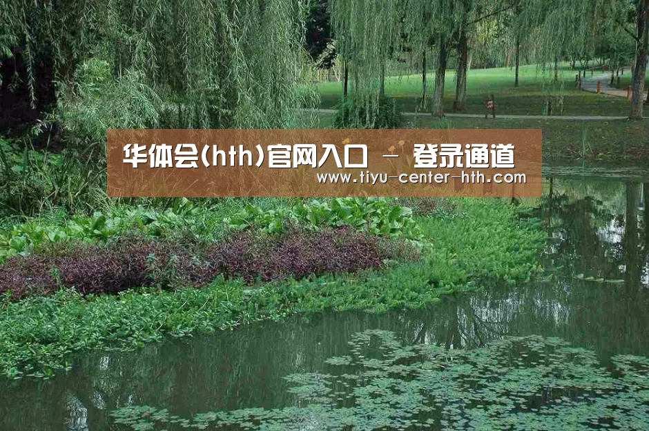 案例展示一