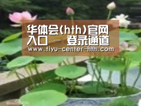 产品名称一