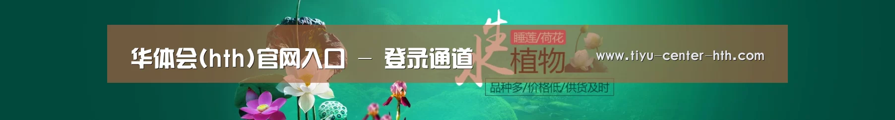 鲜花水草花卉网站模板