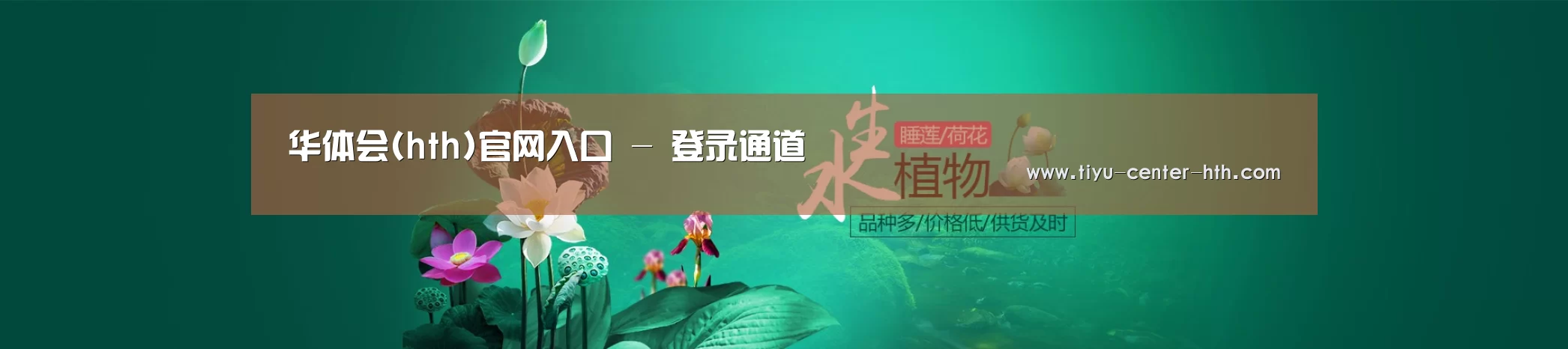 鲜花水草花卉网站模板