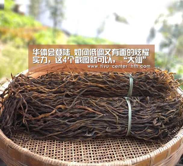 华体会棋牌