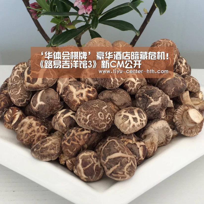 华体会棋牌