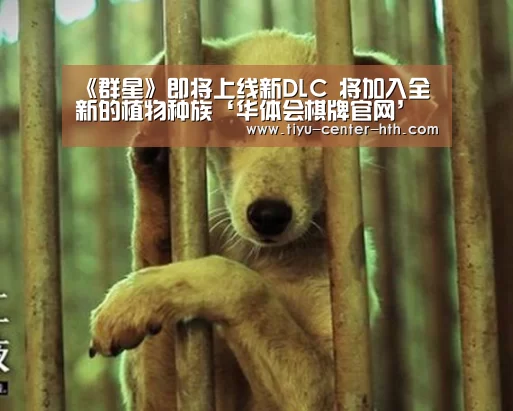 华体会体育